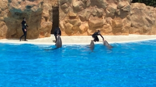 LoroParque_104
