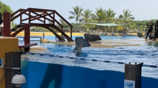LoroParque_111
