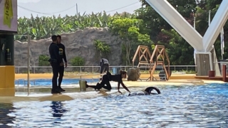 LoroParque_51