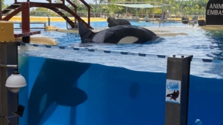LoroParque_63