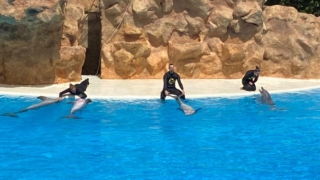 LoroParque_65
