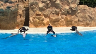 LoroParque_68