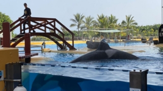 LoroParque_92