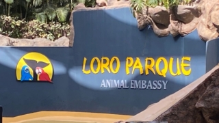 LoroParque_98