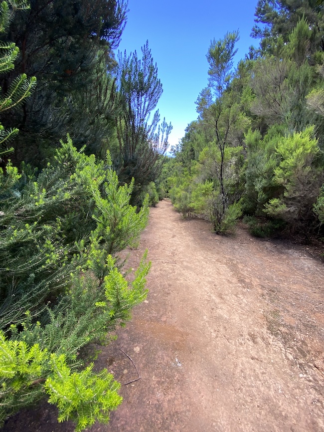 Kammweg Impressionen